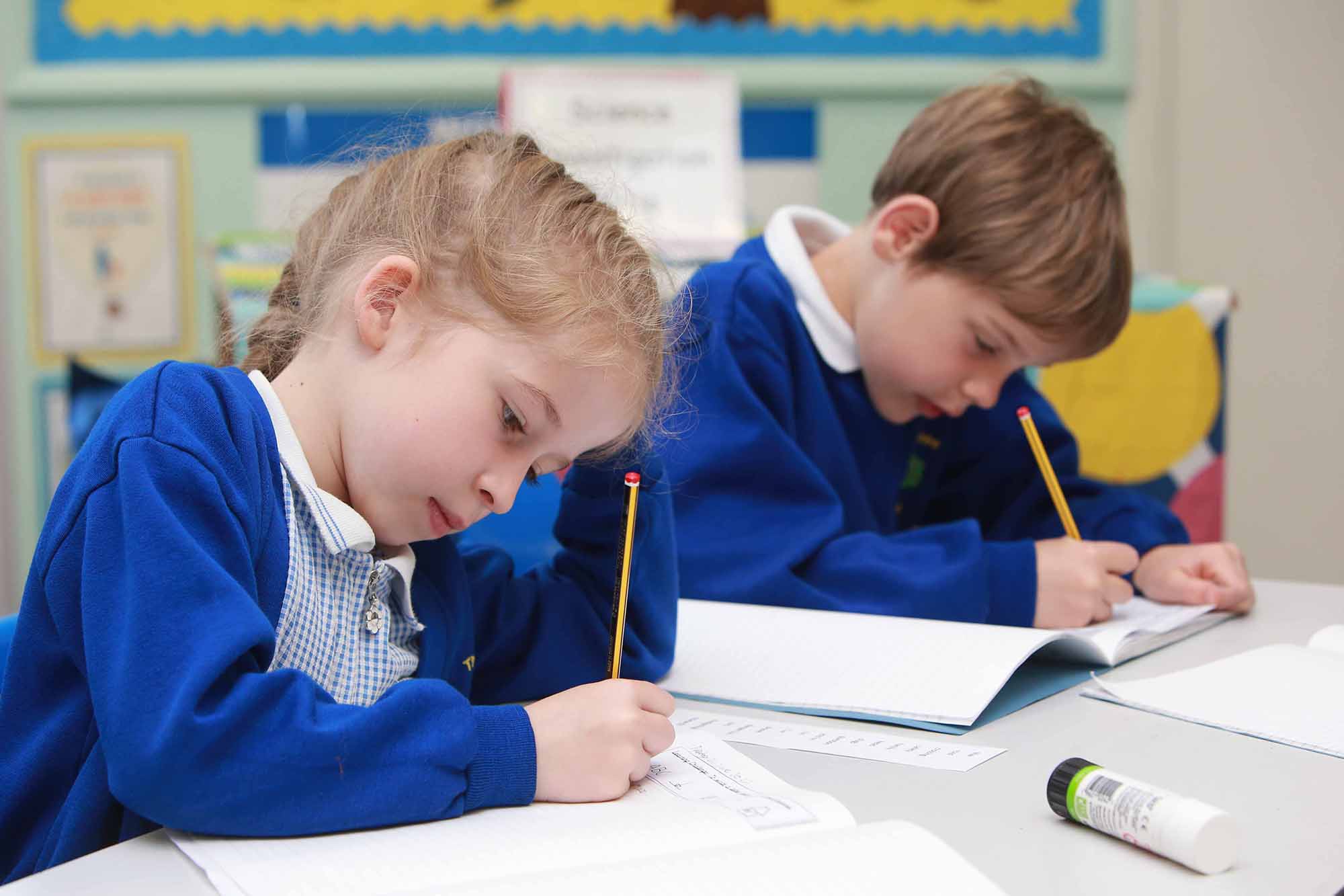 Search Results The Good Shepherd Trust Transforming Schools